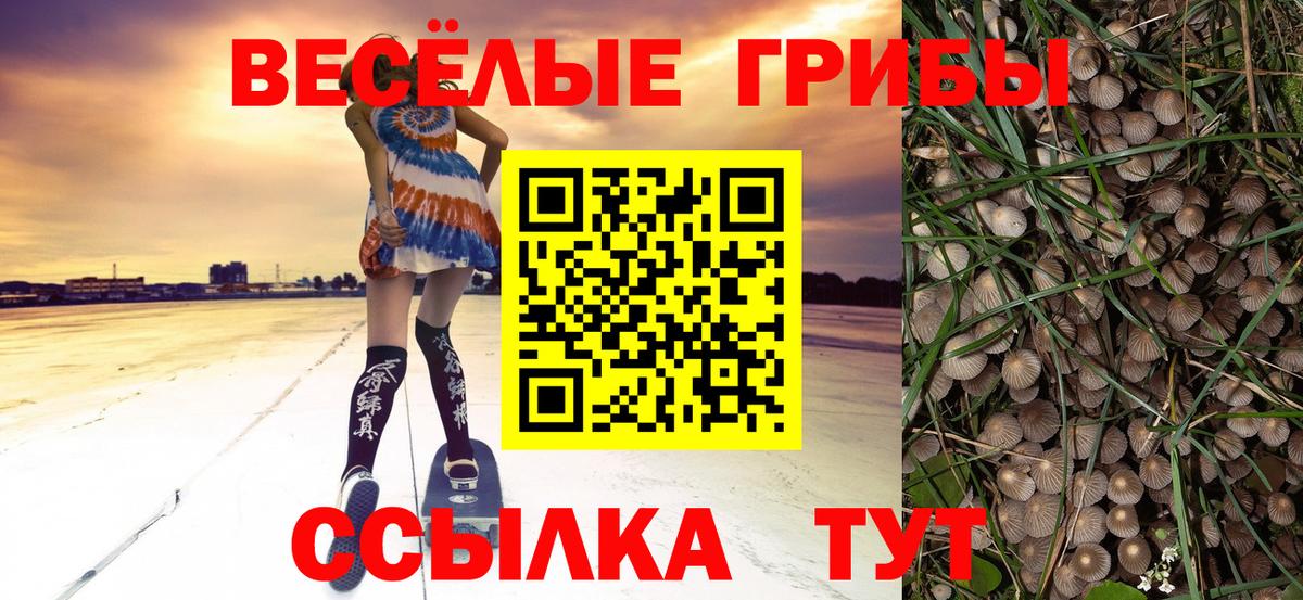 Галлюциногенные грибы GOLDEN TEACHER Керчь